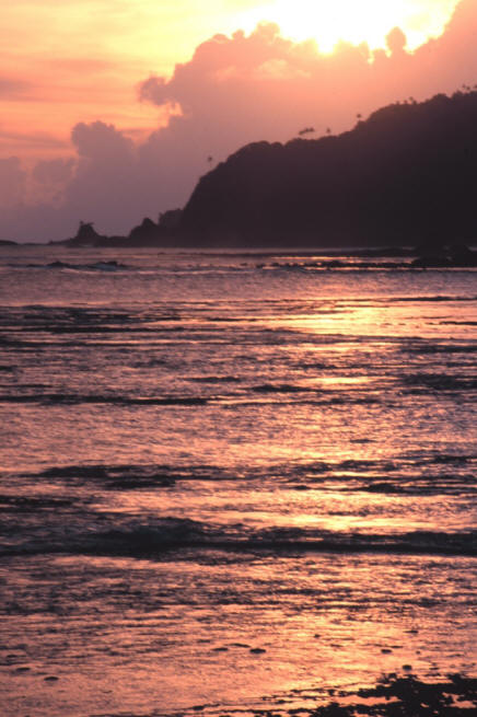 Sanctuary Image - sanc0309